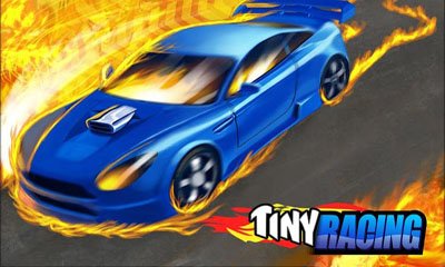 game pic for Tiny Racing